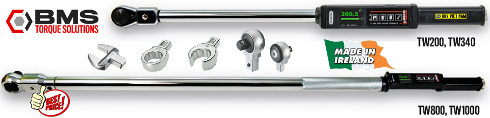 co le luc dien tu BMS TW600P, co le siet luc dien tu BMS TW600P